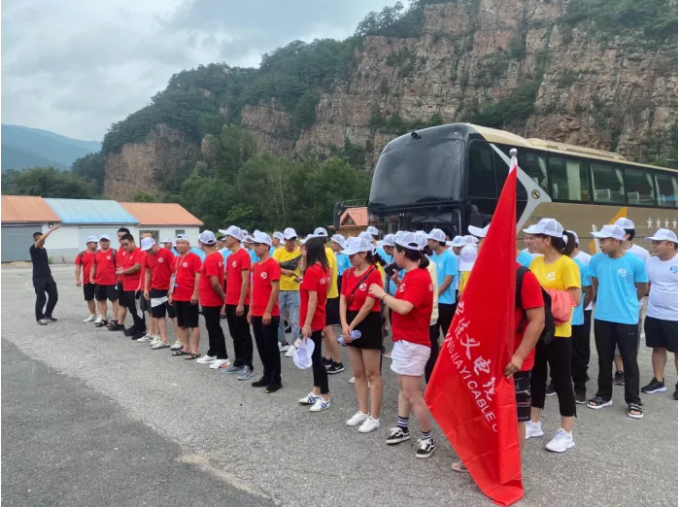 東北粉色视频网站