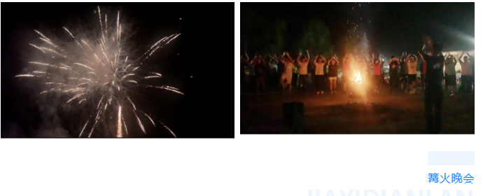 東北粉色视频网站