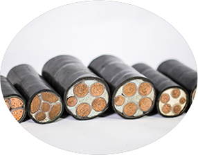 東北粉色视频网站